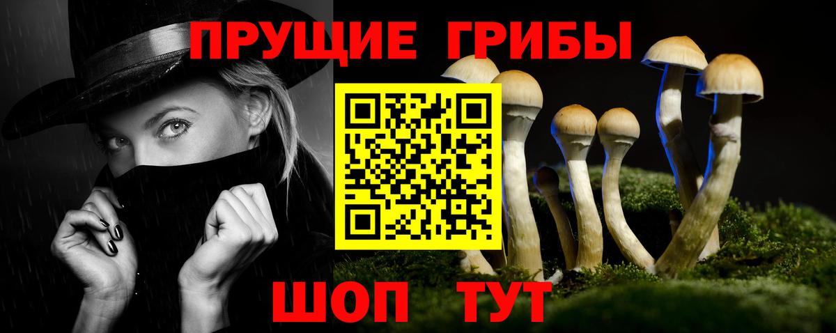 Галлюциногенные грибы GOLDEN TEACHER  Вход с VPN  Усть-Джегута 